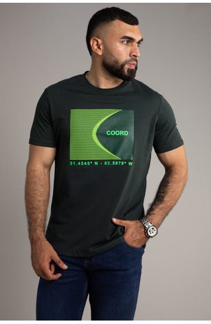 CAMISETA-VANROOST-CTBH005-2302252AD-VER-BOTEL_1.jpg